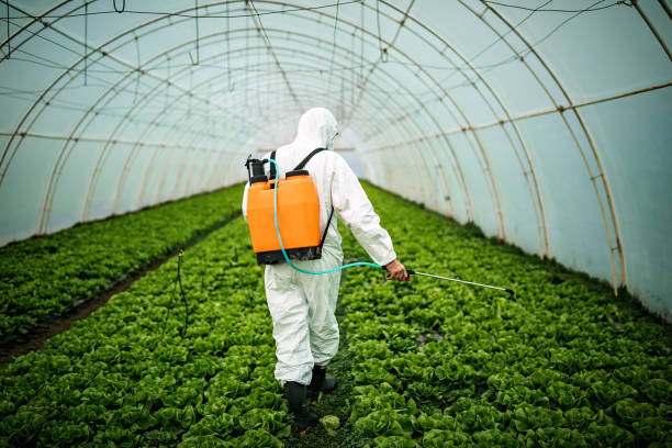 Best Best Pest Control Companies  in Lake Mary, FL