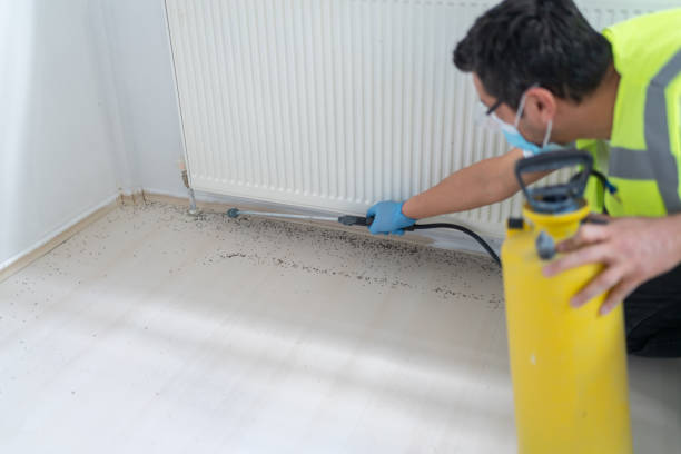 Best Pest Control for Businesses  in Lake Mary, FL